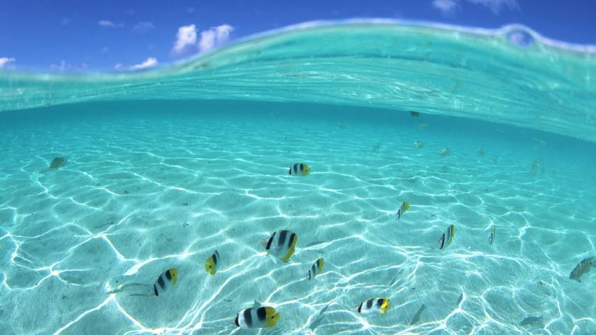 Hawaii Sea Scenery 1080p Wallpapers