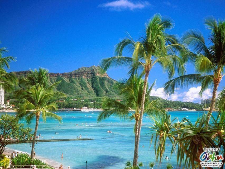 Palms, Landscape Hawaii Wallpapers