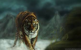 Ultra High Definition Tiger Wallpapers