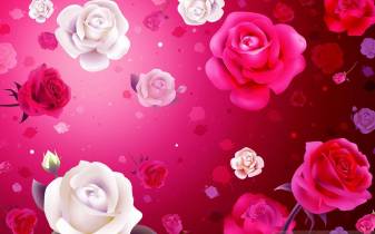 Beautiful Pink Valentines Desktop Background images