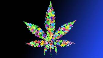 Cute Trippy Weed Pc Wallpapers and Background images