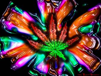 Weed, Trippy, Marijuana Desktop Wallpapers