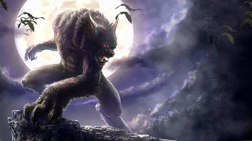 Fantasy Anime Werewolf Background images