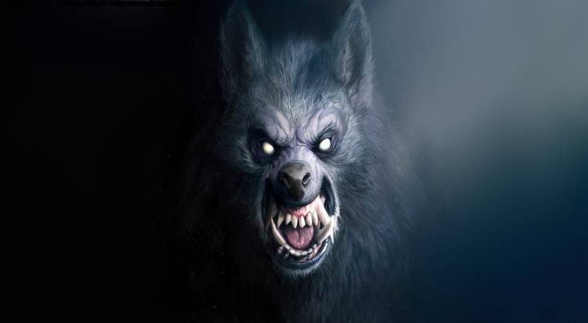 Download 4k Werewolf Wallpaper Picture