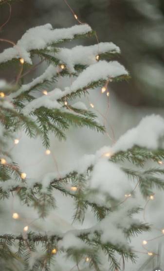 White Aesthetic Christmas iPhone image Wallpapers
