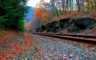 Train, Autumn Widescreen hd Desktop Wallpapers
