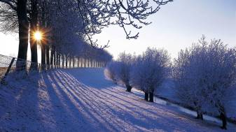The Fascinating Beauty of Winter Winter Scene Wallpaper