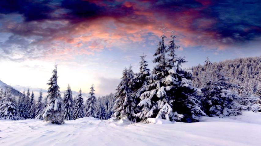 Add Color to Your Devices with the Most Beautiful Winter Landscapes