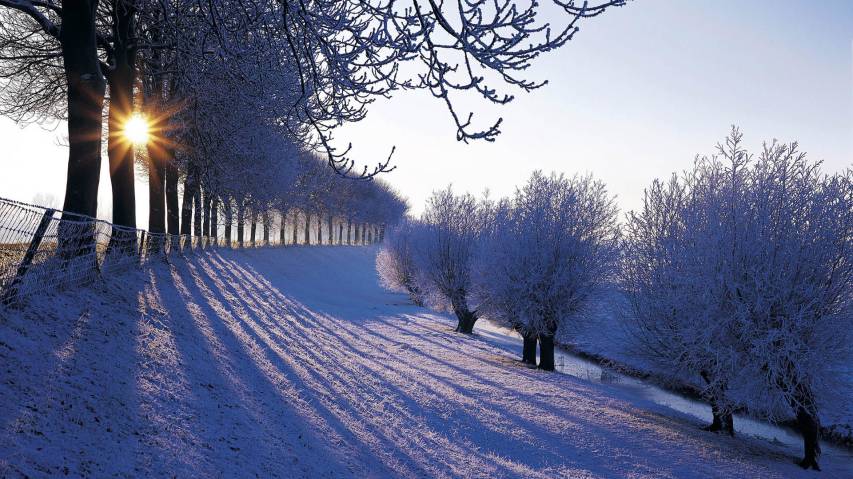 The Fascinating Beauty of Winter Winter Scene Wallpaper