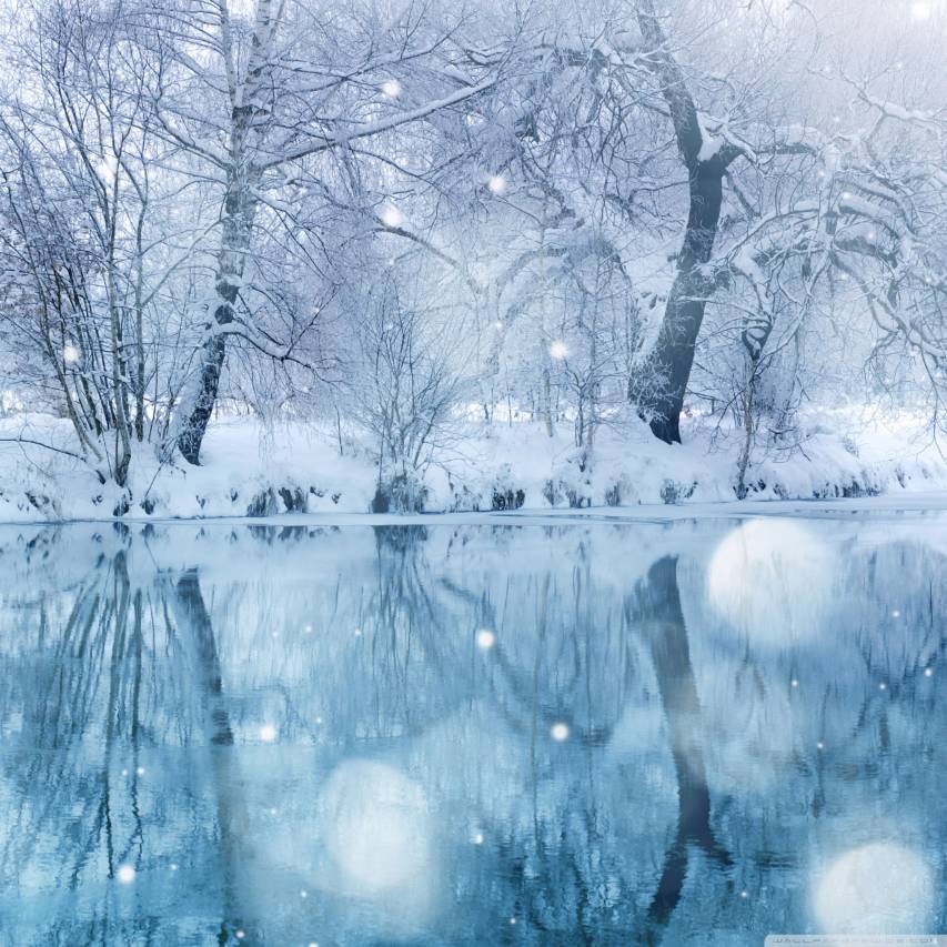 Cool Cozy Winter Landscape Backgrounds for iPad pro