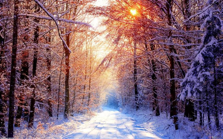 Sunlight and Winter Scene Wallpapers and Background for desktop