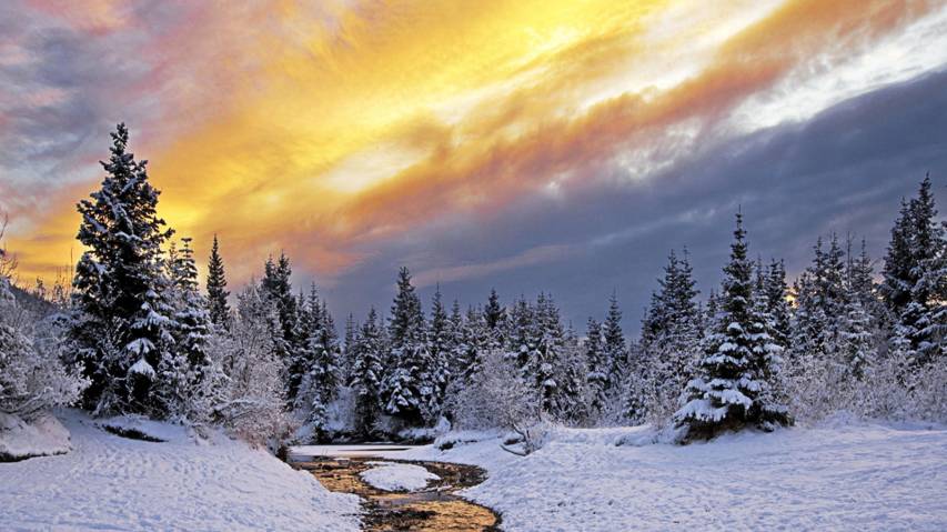Gorgeous Winter Landscape Wallpapers