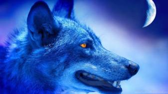 Blue Abstract Wolf Background Photo