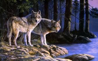 Wolf Painting Background free