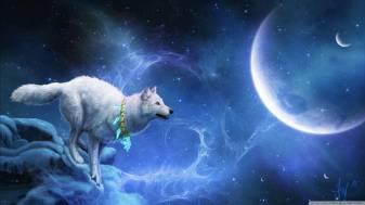 Cool Wolf Fantasy Background Pic