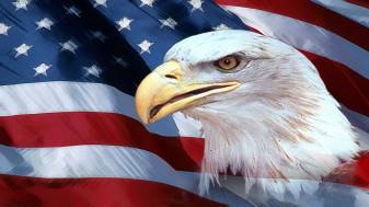 Eagle, independence, American Flag Wallpapers
