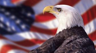 American Flag Eagle image Wallpapers